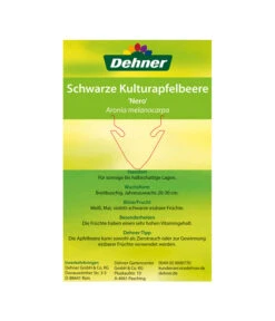 Apfelbeere, Aronia 'Nero' 11 Apfelbeere, Aronia 'Nero' -Wurzel Herz Verkaufsgeschäft 00000000 Aronia melanocarpa Nero 2016 2