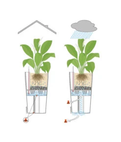 LECHUZA® CLASSICO LS, All-in-One-Set -Wurzel Herz Verkaufsgeschäft 001 InOutdoorLechuza