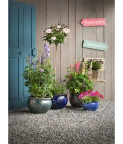 Dehner Keramik-Topf Bavaria, Bauchig -Wurzel Herz Verkaufsgeschäft 1507698 WE MO 006 KeramikPflanztopfBavariaglasiert