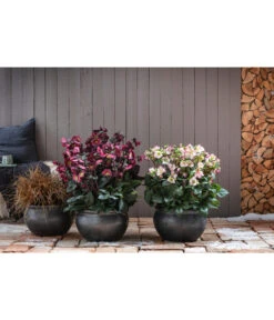 Dehner Keramik-Topf Bavaria, Bauchig -Wurzel Herz Verkaufsgeschäft 167510 167544 167643 WE MO 004 KeramikPflanztopfBavariaglasiert