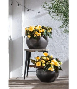 Dehner Keramik-Topf Bavaria, Bauchig -Wurzel Herz Verkaufsgeschäft 167510 167544 167643 WE MO 005 KeramikPflanztopfBavariaglasiert