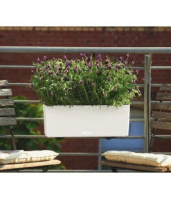 LECHUZA® Kunststoff-Kasten Balconera Color, Rechteckig -Wurzel Herz Verkaufsgeschäft 1703263 WE MO 001 BalconeraColor50cmbraun