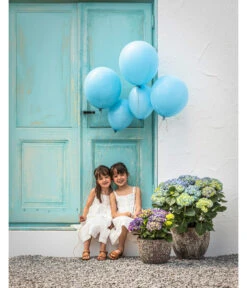 Dehner Keramik-Topf Rhodos, Rund, Blau-grün -Wurzel Herz Verkaufsgeschäft 20190523 WE MO 001 Hortensien Outdoor blau