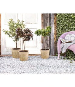 Terrakotta-Topf Grado, Rund, Antik-terrakotta 4 Terrakotta-Topf Grado, Rund, Antik-terrakotta -Wurzel Herz Verkaufsgeschäft 2782613 WE MO 002 TerrakottaTopfGraffiato