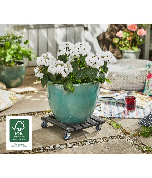 Wagner Pflanzroller, 29 X 29 Cm 2 Wagner Pflanzroller, 29 X 29 Cm – Bild 2