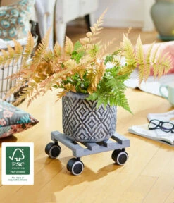 Wagner Pflanzenroller Creo, Ø 19 Cm -Wurzel Herz Verkaufsgeschäft 2913945 WE MO 002 MULTIROLLERCREO