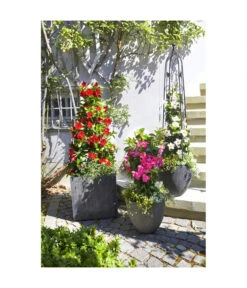 Dehner Polystone-Topf Brisbane In Riffeloptik, Rund -Wurzel Herz Verkaufsgeschäft 3158847 3158870 3158888 3158995 3159092 3159126 WE MO 004 PolystoneTopfinRiffeloptikrundsand