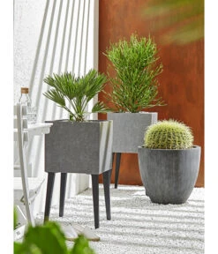 Dehner Polystone-Topf Brisbane In Riffeloptik, Rund -Wurzel Herz Verkaufsgeschäft 3158847 3158870 3158888 WE MO 005 PolystoneTopfinRiffeloptik