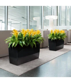 LECHUZA® CARARO, All-in-One-Set, 43 X 30 X 75 Cm -Wurzel Herz Verkaufsgeschäft 3409273 BildM 001 CararoSchwarzLechuza