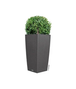 LECHUZA® Kunststoff-Topf Cubico Cottage -Wurzel Herz Verkaufsgeschäft 3528429 WE DE 002 LechuzaCubicoCottageBlumenkuebelBlumentopfBlumenvase