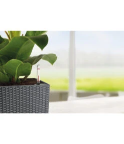 LECHUZA® Kunststoff-Topf Cubico Cottage -Wurzel Herz Verkaufsgeschäft 3528429 WE DE 004 LechuzaCubicoCottageBlumenkuebeleckigBlumentopfBlumenvasegrau