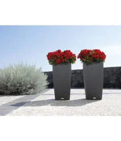 LECHUZA® Kunststoff-Topf Cubico Cottage -Wurzel Herz Verkaufsgeschäft 3528429 WE MO 002 LechuzaCubicoCottageBlumenkuebeleckigBlumentopfBlumenvasegrauschwarz