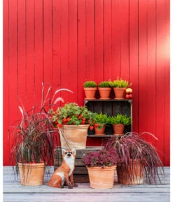 Spang Terrakotta-Topf Toscana, Rund 10 Spang Terrakotta-Topf Toscana, Rund -Wurzel Herz Verkaufsgeschäft 3697612 WE MO 004 TerrakottaTopfToscanarund