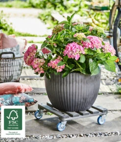 Wagner Pflanzroller, 40 X 40 Xm -Wurzel Herz Verkaufsgeschäft 4006433 WE MO 002 MULTIROLLERANTHRAZIT