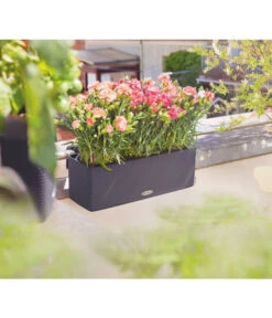 LECHUZA® BALCONISSIMA Color, All-in-One-Set, Ca. B40/H14/T14 Cm -Wurzel Herz Verkaufsgeschäft 4065538 PR MO 001 Balconissima40Anthrazit