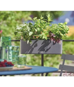 LECHUZA® BALCONISSIMA Color, All-in-One-Set, Ca. B40/H14/T14 Cm -Wurzel Herz Verkaufsgeschäft 4065538 PR MO 002 Balconissima40Anthrazit