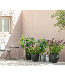 Artstone Kunststoff-Topf Bola -Wurzel Herz Verkaufsgeschäft 4086088 4086096 4086104 4086112 WE MO 006 KunststoffTopfBolarundschwarz