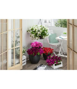 Artstone Kunststoff-Topf Bola -Wurzel Herz Verkaufsgeschäft 4086096 4086088 4086104 4086112 WE MO 005 ArtstoneKunststoffTopfBolaschwarz