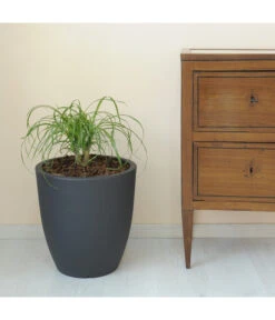 Farmet Kunststoff-Topf-Set Orione Alto, Rund, Anthrazit, 2-teilig -Wurzel Herz Verkaufsgeschäft 4109195 WE DE 002 ORIONEALTOHoherRunderPflanzkuebelDurchmesser50cm50cmhochDUNKELANTHRAZIT