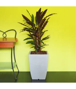 Farmet Kunststoff-Topf-Set Hydrus, Quadratisch, Grau, 2-teilig -Wurzel Herz Verkaufsgeschäft 4110102 WE DE 002 HYDRUSQuadratischerPflanzkuebel29x29x40cmhochSTEINBEIGE