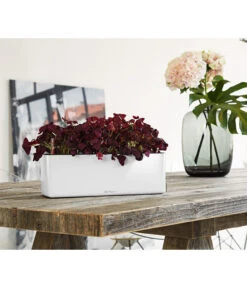 LECHUZA® CUBE Glossy Triple, All-in-One Set, 40 Cm -Wurzel Herz Verkaufsgeschäft 4310652 PR MO 001 CubeGlossyTripleWeiss