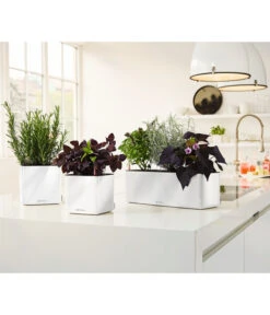 LECHUZA® CUBE Glossy Triple, All-in-One Set, 40 Cm -Wurzel Herz Verkaufsgeschäft 4310652 PR MO 003 CubeGlossyTripleWeiss