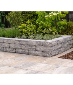 Diephaus Terrassenplatte Atrio, Ca. B100/H5/T50 Cm 5 Diephaus Terrassenplatte Atrio, Ca. B100/H5/T50 Cm -Wurzel Herz Verkaufsgeschäft 4384566 WE MO 002 DiephausTerrassenplatteATRIOMUSCHELKALK