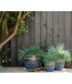 Dehner Keramik-Topf Mystras, Rund, Blau-braun -Wurzel Herz Verkaufsgeschäft 4441317 4441341 4441408 WE MO 002 DehnerKeramikTopfMystrasrundblaubraun