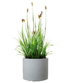 Scheurich Kunststoff-Topf Riva, Rund -Wurzel Herz Verkaufsgeschäft 4498838 WE FS 003 ScheurichKunststoffTopfRivarund