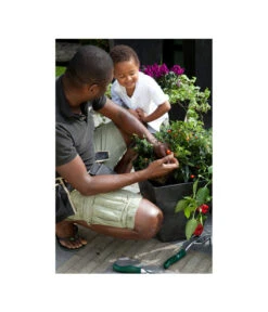 Artstone Kunststoff-Topf Ella -Wurzel Herz Verkaufsgeschäft 5369905 WE MO 001 ArtstoneKunststoffBlumentopfEllaeckig