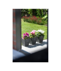 Artstone Kunststoff-Topf Ella -Wurzel Herz Verkaufsgeschäft 5369905 WE MO 004 ArtstoneKunststoffBlumentopfEllaeckig