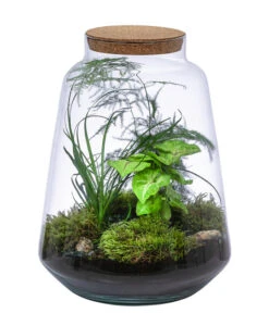 Flaschengarten DIY-Set Grüne Oase, 8-teilig, Ca. Ø26/H35 Cm