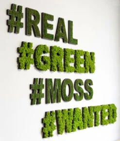 StyleGREEN Sonderzeichen 'Hashtag' Aus Islandmoos, Ca. B20/H25/T3,5 Cm 3 StyleGREEN Sonderzeichen 'Hashtag' Aus Islandmoos, Ca. B20/H25/T3,5 Cm -Wurzel Herz Verkaufsgeschäft 6427983 WE MO 001 ZeichenIslandmoos