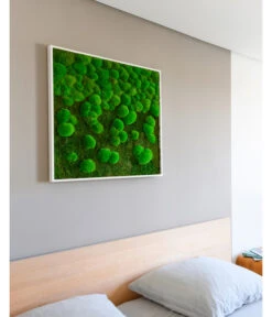 StyleGREEN Bild Aus Wald- Und Kugelmoos Im Verlauf, Ca. B80/H80/T7 Cm -Wurzel Herz Verkaufsgeschäft 6429807 WE MO 002 Wald KugelmoosbildVerlauf80x80cm