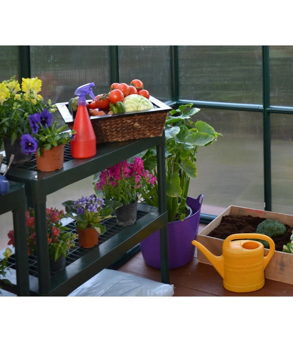 Rion Green Gewächshaus Grand Gardener, Inkl. Fundament 10 Rion Green Gewächshaus Grand Gardener, Inkl. Fundament – Bild 10