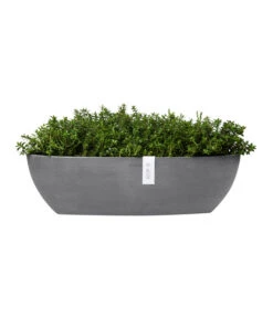Ecopots Kunststoff-Schale Sofia Mit Wassersystem, Oval, Ca. B56/H16/T14 Cm -Wurzel Herz Verkaufsgeschäft 6614580 WE FS 004 EcopotsKunststoffSchaleSofialangmitWassersystemoval