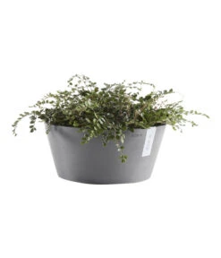 Ecopots Kunststoff-Topf Frankfurt, Rund 8 Ecopots Kunststoff-Topf Frankfurt, Rund -Wurzel Herz Verkaufsgeschäft 6614952 WE FS 003 EcopotsKunststoffTopfFrankfurtrund