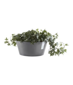 Ecopots Kunststoff-Topf Frankfurt, Rund 9 Ecopots Kunststoff-Topf Frankfurt, Rund -Wurzel Herz Verkaufsgeschäft 6614952 WE FS 004 EcopotsKunststoffTopfFrankfurtrund
