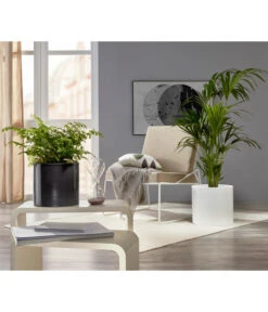 Scheurich Keramik-Übertopf, Rund, Ca. Ø33 Cm 7 Scheurich Keramik-Übertopf, Rund, Ca. Ø33 Cm -Wurzel Herz Verkaufsgeschäft 6642151 PR MO 001 TopfPanna