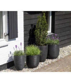 Capi Europe Kunststoff-Topf Rib Hoch, Rund -Wurzel Herz Verkaufsgeschäft 6697304 WE MO 002 CapiEuropeKunststoffTopfRibrund