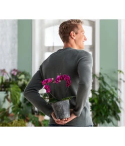 Dehner Keramik-Übertopf Nature Earth, Konisch, Grau, Ca. Ø14 Cm -Wurzel Herz Verkaufsgeschäft 6895577 WE MO 002 OrchideentopfNature