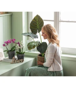 Dehner Keramik-Übertopf Nature Earth, Konisch, Grau, Ca. Ø14 Cm -Wurzel Herz Verkaufsgeschäft 6895577 WE MO 004 OrchideentopfNatureEarth