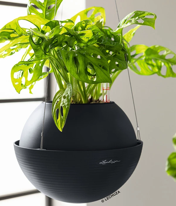 LECHUZA® BOLA Color, All-in-One Set – Bild 4