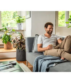 LECHUZA® TRENDCOVER Cork, All-in-One Set -Wurzel Herz Verkaufsgeschäft 6946891 6946933 6947097 6947139 WE MO 001 Trendcover