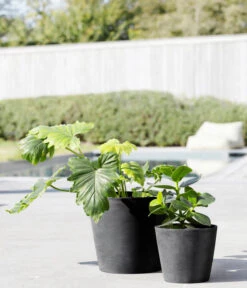 Ecopots Kunststoff-Topf Amsterdam Mit Wassersystem, Rund 7 Ecopots Kunststoff-Topf Amsterdam Mit Wassersystem, Rund -Wurzel Herz Verkaufsgeschäft 6949937 6949945 6949952 6949960 WE MO 001 EcopotsKunststoffTopfAmsterdammitWassersystemrunddunkelgrau