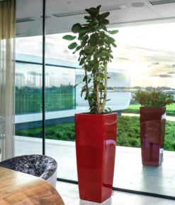 LECHUZA® CUBICO ALTO, All-in-One-Set, Ca. B40/H105/T40 Cm 6 LECHUZA® CUBICO ALTO, All-in-One-Set, Ca. B40/H105/T40 Cm -Wurzel Herz Verkaufsgeschäft 6962278 WE MO 01 CUBICOAltoRot