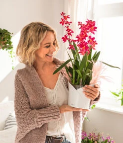 LECHUZA® ORCHIDEA, All-in-One Set, Ca. Ø18/H20 Cm -Wurzel Herz Verkaufsgeschäft 6963375 WE MO 01 OrchideaWeiss