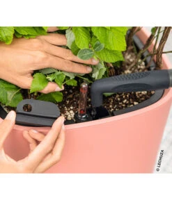 LECHUZA® Kunststoff-Topf Pila Color Planter, Rund, Ca. Ø35/H33 Cm -Wurzel Herz Verkaufsgeschäft 6963664 WE MO 001 LechuzaCOLORPLANTER