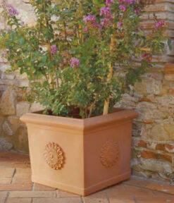 Farmet New Kunststoff-Topf Festonato, Quadratisch, Terrakotta, Inkl. Untersetzer -Wurzel Herz Verkaufsgeschäft 6967699 WE MO 001 FarmetNewKunststoffTopfFestonatoquadratischterrakotta