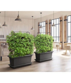 Magnus Kunststoff-Blumenkasten, Rechteckig. Ca. B98/H37/T38 Cm -Wurzel Herz Verkaufsgeschäft 6997449 WE MO 001 MagnusKunststoffBlumenkastenschwarz